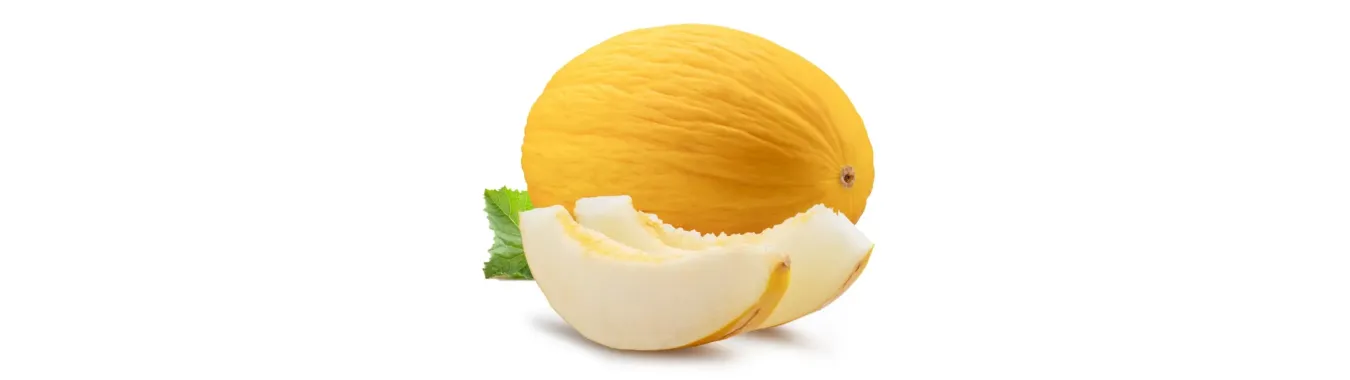 Дыня